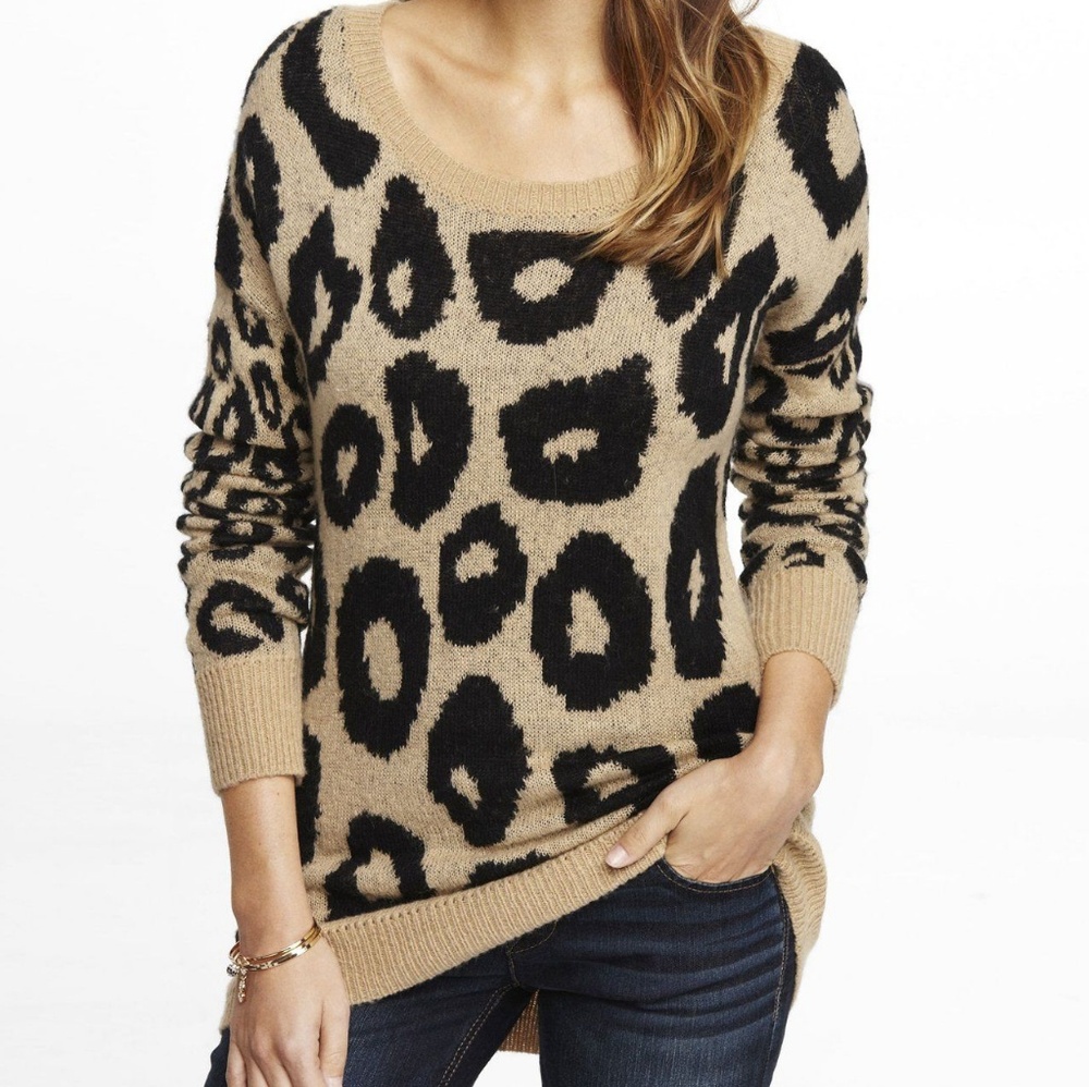 Express leopard print sweater